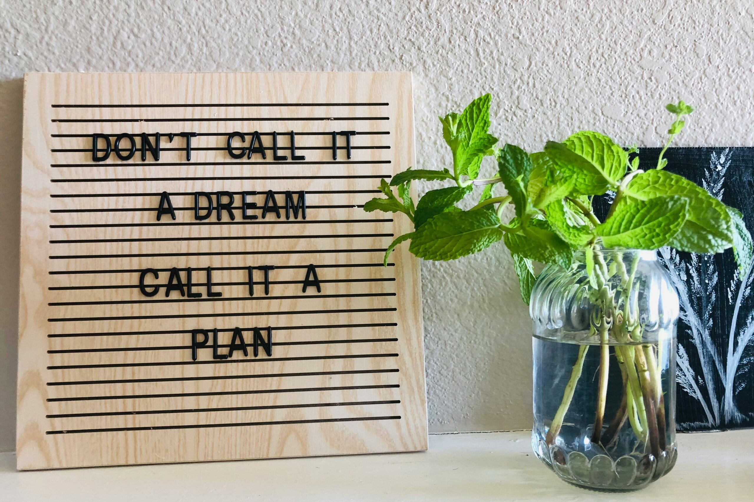 Quote: Don't call it a dream, Call it a plan